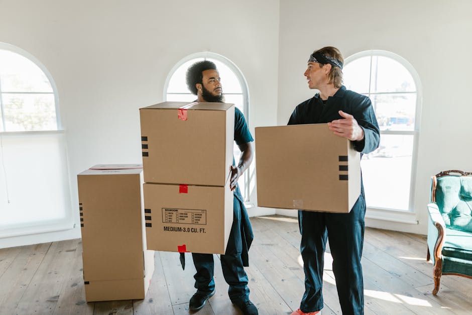 Two movers from Find Man and Van are inside a well-lit room with wooden flooring and large arched windows, engaged in packing and moving furniture during a home relocation. The mover on the left, with